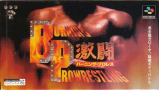 Gekitou Burning Pro Wres (Japan)